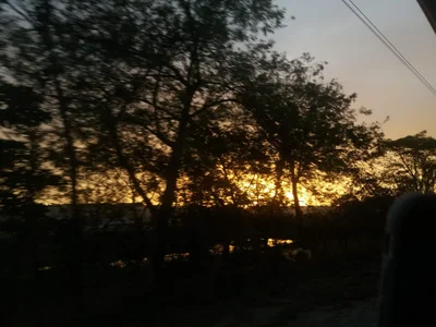 AL-101 - Photo 3