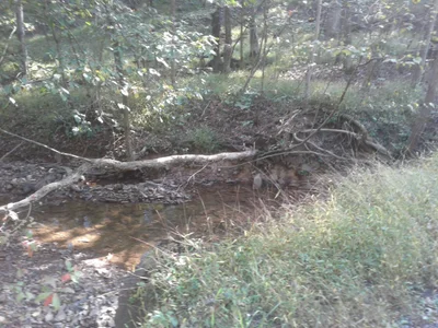 Hedgesville - Photo 2
