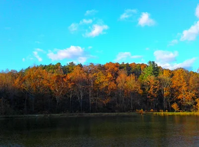 Hedgesville - Photo 3