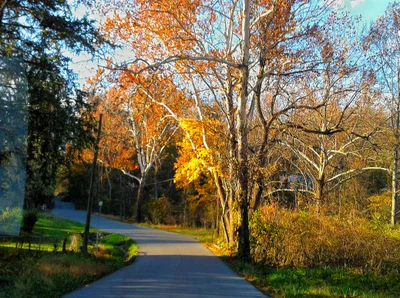 Hedgesville - Photo 4