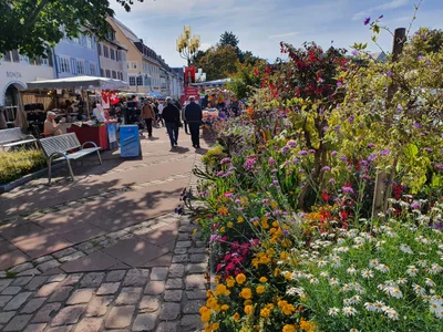 Freudenstadt - Photo 3