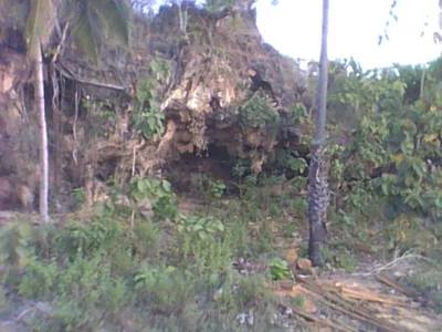 Rote Ndao - Photo 3