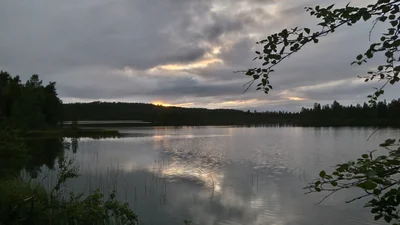 Inari - Photo 2
