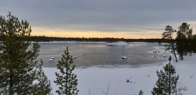Inari - Photo 3