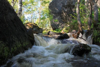 Inari - Photo 5