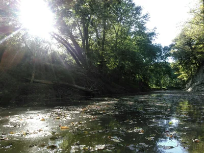 Greensburg - Photo 4