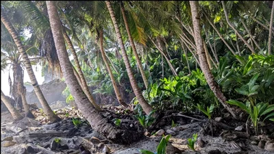 Shire of Cocos (Keeling) Islands - Photo 4
