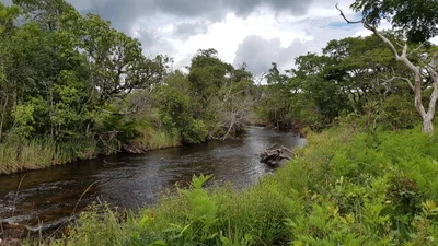 Mwinilunga District - Photo 2