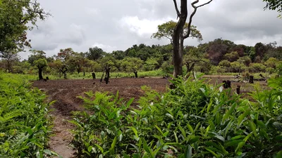 Mwinilunga District - Photo 3