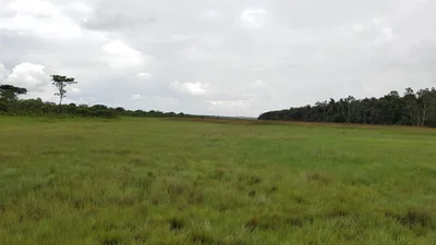 Mwinilunga District - Photo 4
