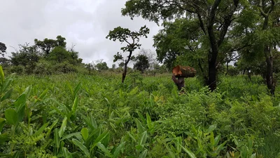 Mwinilunga District - Photo 5