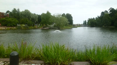 Kotka - Photo 3