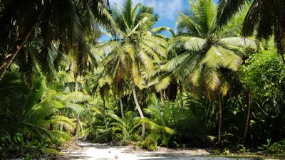 West Island - Photo 2