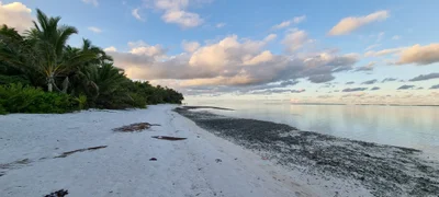 West Island - Photo 3