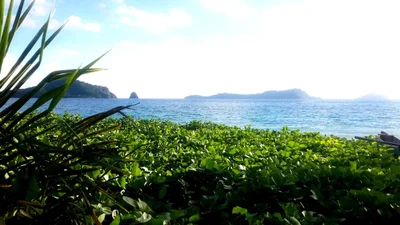 Nioumachoua - Photo 3