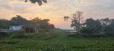Sreemangal - Photo 3