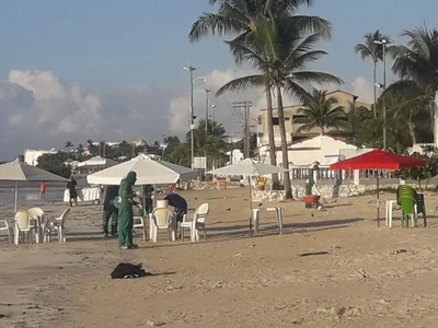Madre de Deus - Photo 5