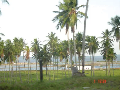 Saubara - Photo 5