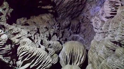 Cave Junction - Photo 2