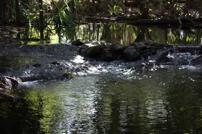 Coomalie Shire - Photo 2