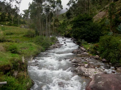 Lares - Photo 4
