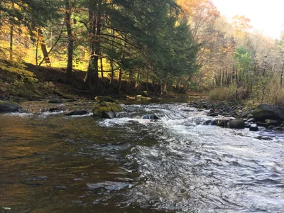 Potter County - Photo 3