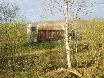 Potter County - Photo 4