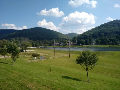 Potter County - Photo 5