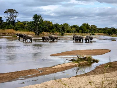 Chamatwa - Photo 4