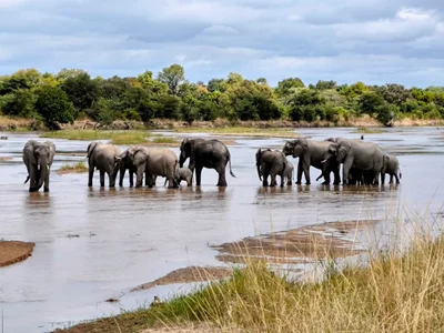 Chamatwa - Photo 5