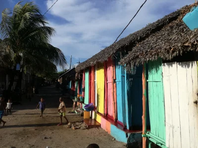 Ambaro - Photo 5