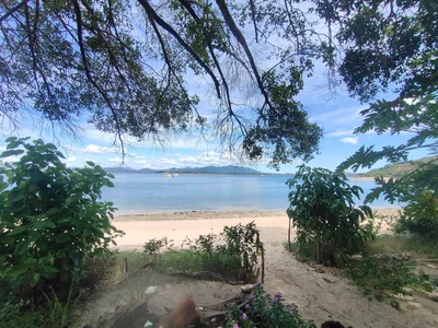 Madirokely - Photo 5