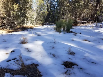 Tijeras - Photo 3