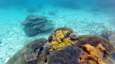 Nosy Tanihely - Photo 5