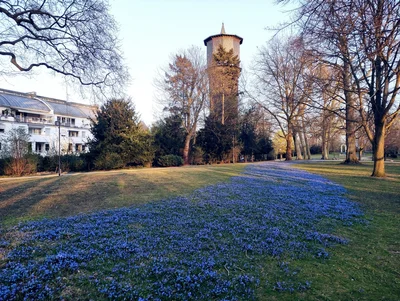 Neuss - Photo 3