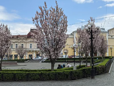Chernivtsi - Photo 2