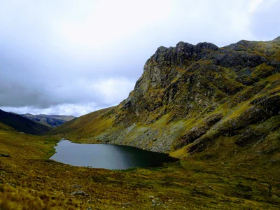 Kishuara - Photo 2