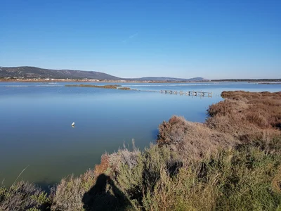 Frontignan - Photo 2