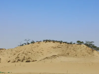 Subtanjalla - Photo 2