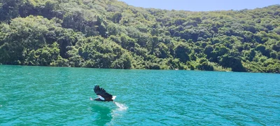 Cape Maklear - Photo 4