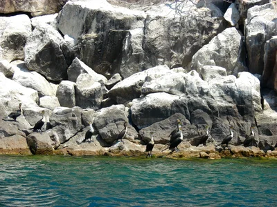 Cape Maklear - Photo 5