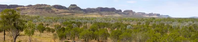 Shire Of Wyndham-East Kimberley - Photo 5
