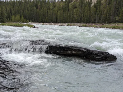 Clearwater County - Photo 2