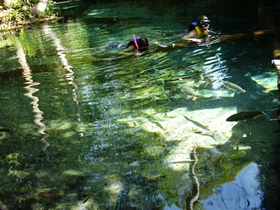Nobres - Photo 4