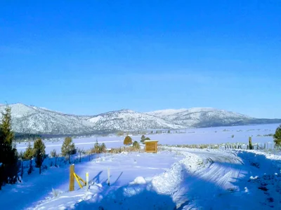 Sierraville - Photo 5