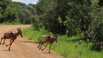 Mufumbwe District - Photo 2