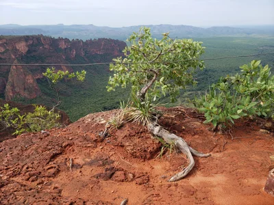 Trilha Cidade de Pedra - Photo 2