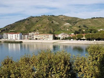 Tournon-sur-Rhône - Photo 3