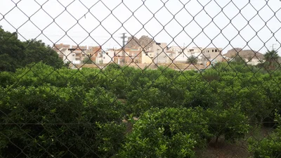 Archena - Photo 2