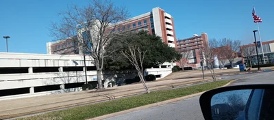 Tuscaloosa - Photo 3
